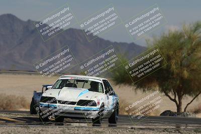 media/Oct-12-2025-Lucky Dog Racing (Sun) [[8adb5568ea]]/3-Third    Stint/4-Turn 4 (Tree of Life)/